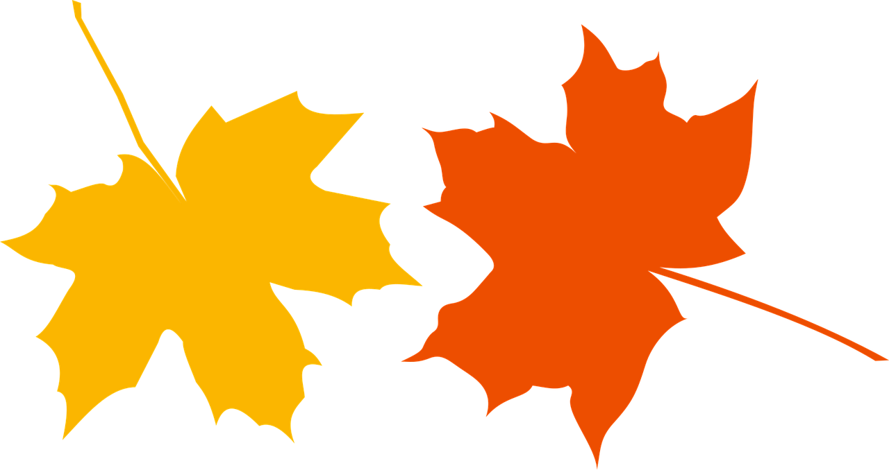 A orange and a yellow leaf representing Autumn themed crafts.