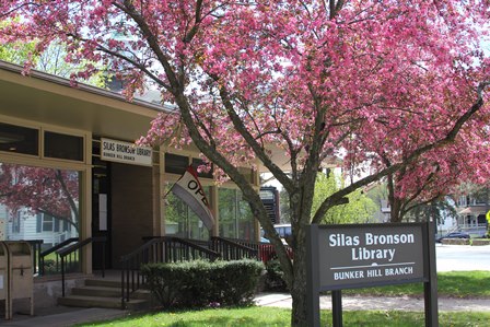 The Front of the Silas Bronson Library Bunker Hill Branch Library with two tress with pink blossoms.